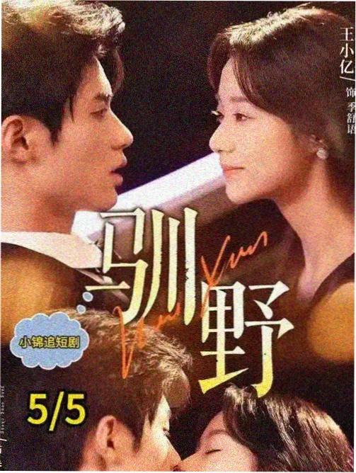刑警日记 高清在线播放